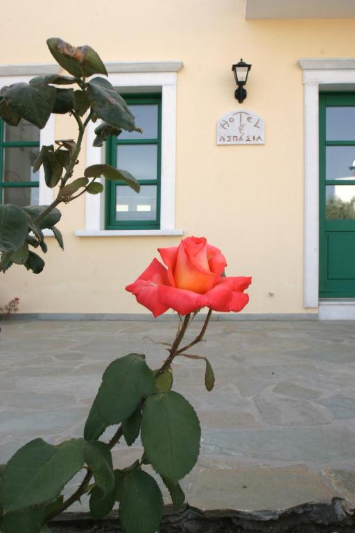 Aspasia Luxury Apartments Agia Anna  외부 사진